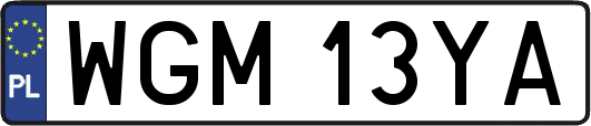 WGM13YA