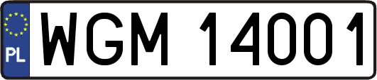 WGM14001