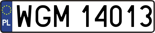 WGM14013