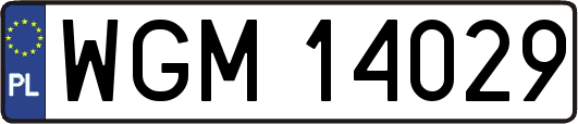 WGM14029
