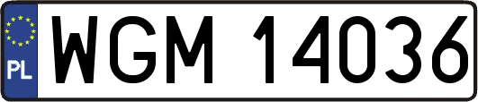 WGM14036