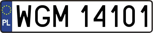 WGM14101