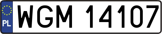 WGM14107