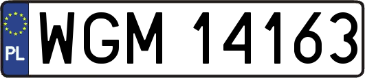 WGM14163