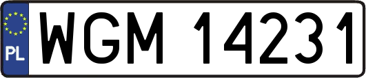 WGM14231