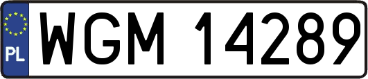 WGM14289