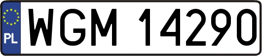 WGM14290