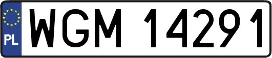 WGM14291