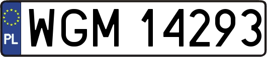 WGM14293