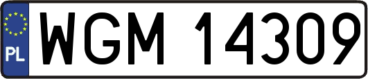 WGM14309