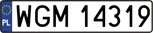 WGM14319