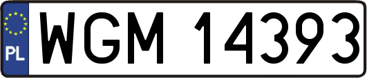 WGM14393