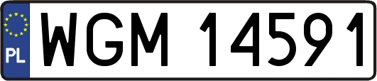 WGM14591