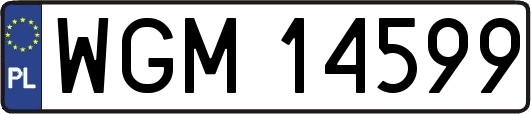 WGM14599