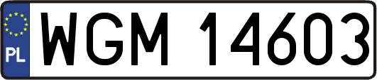 WGM14603