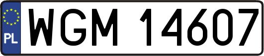 WGM14607