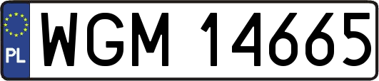 WGM14665