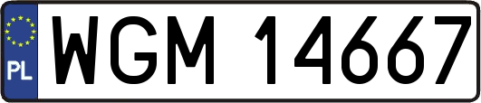 WGM14667