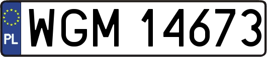 WGM14673