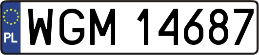 WGM14687