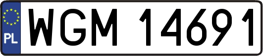 WGM14691
