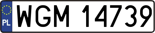 WGM14739