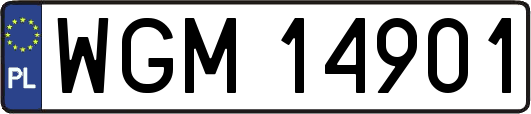 WGM14901