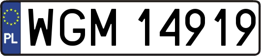 WGM14919
