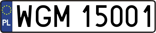 WGM15001