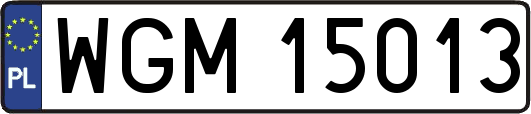 WGM15013