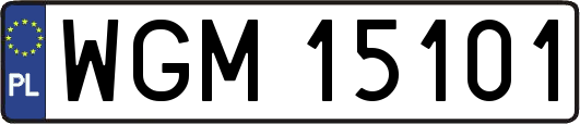 WGM15101