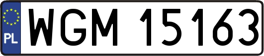 WGM15163