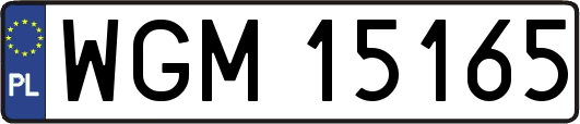 WGM15165