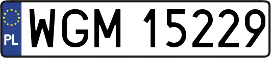 WGM15229