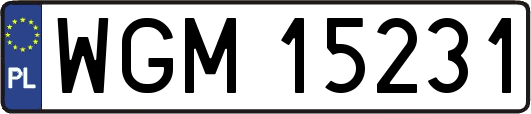 WGM15231