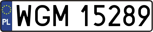 WGM15289