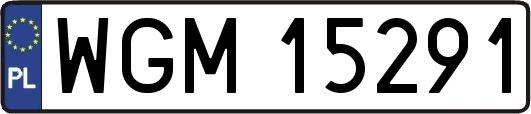 WGM15291