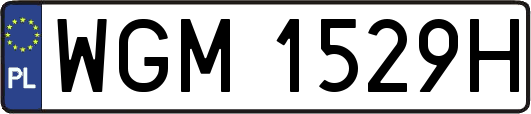 WGM1529H
