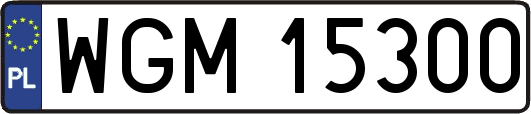 WGM15300