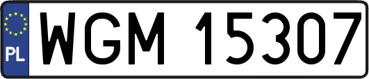 WGM15307