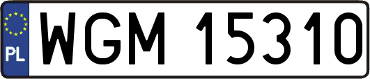WGM15310