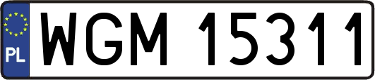 WGM15311