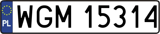 WGM15314