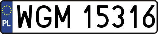 WGM15316
