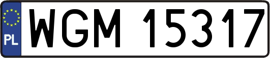 WGM15317