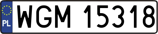 WGM15318