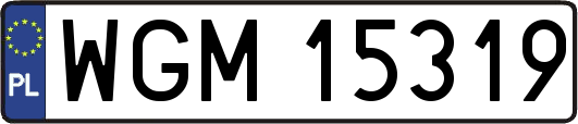 WGM15319