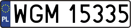WGM15335