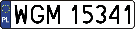 WGM15341