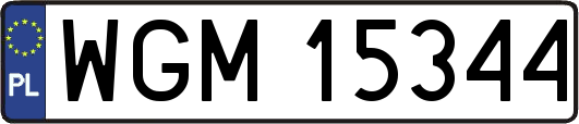 WGM15344